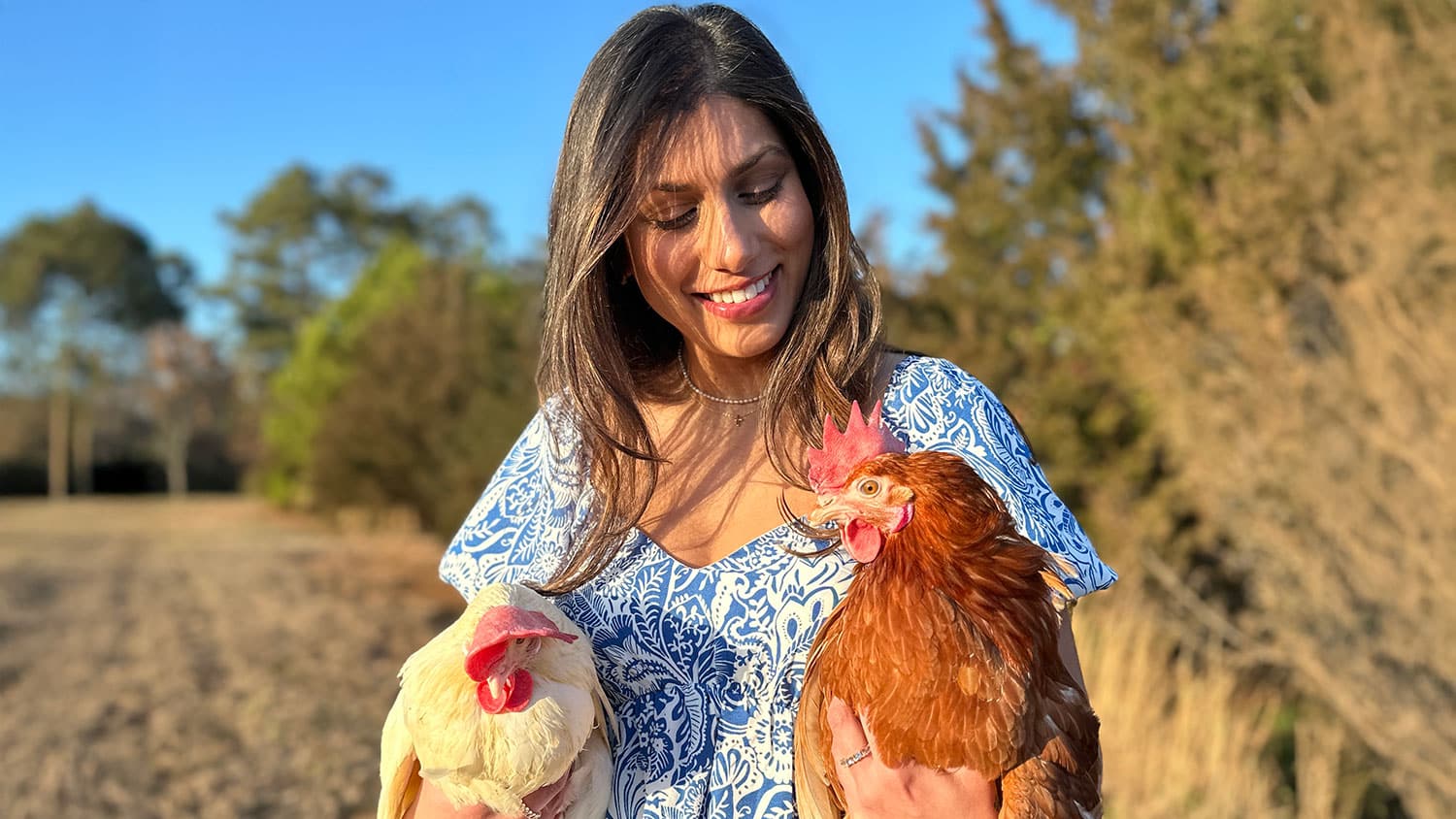 Девушка держит белую и рыжую курицу на свежем воздухе