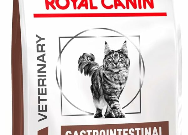 Специализированное питание для кошек: зачем оно нужно и как оно работает