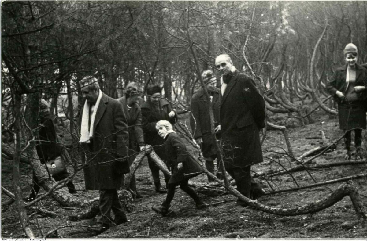 Кривой лес в послевоенные годы чёрно-белое фото историческое