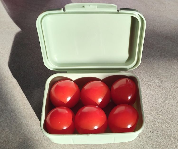 Ланчбокс с шестью красными помидорами черри, идеально в нем поместившимися