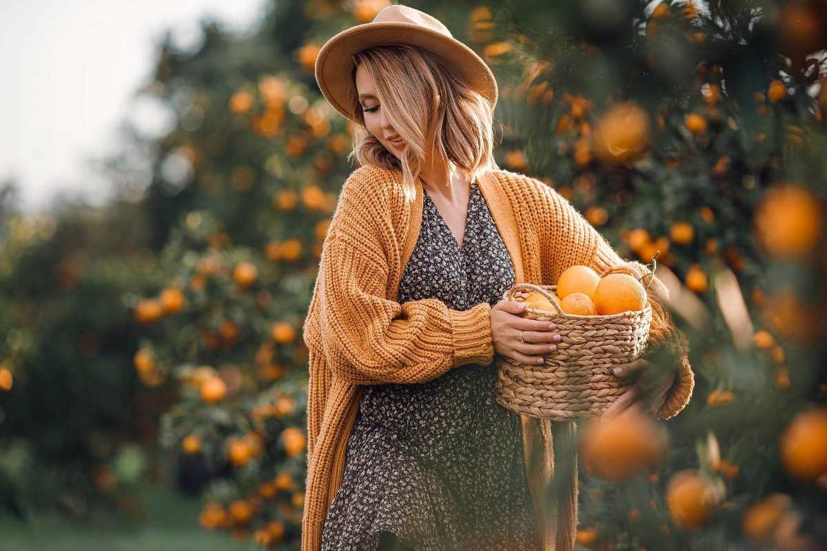 Сезон мандаринов: Как выращивают и собирают