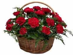 Bigpicture ru medium traurnaya korzina iz zhivykh 027 1