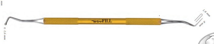 Bigpicture ru разнообразие видов стоматологических гладилок