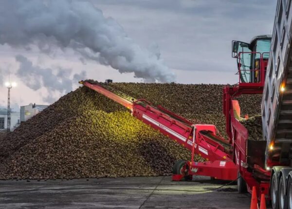 «Продимекс» бизнесмена Игоря Худокормова завершила уборку сахарной свёклы в Воронежской области по итогам сезона 2025 года