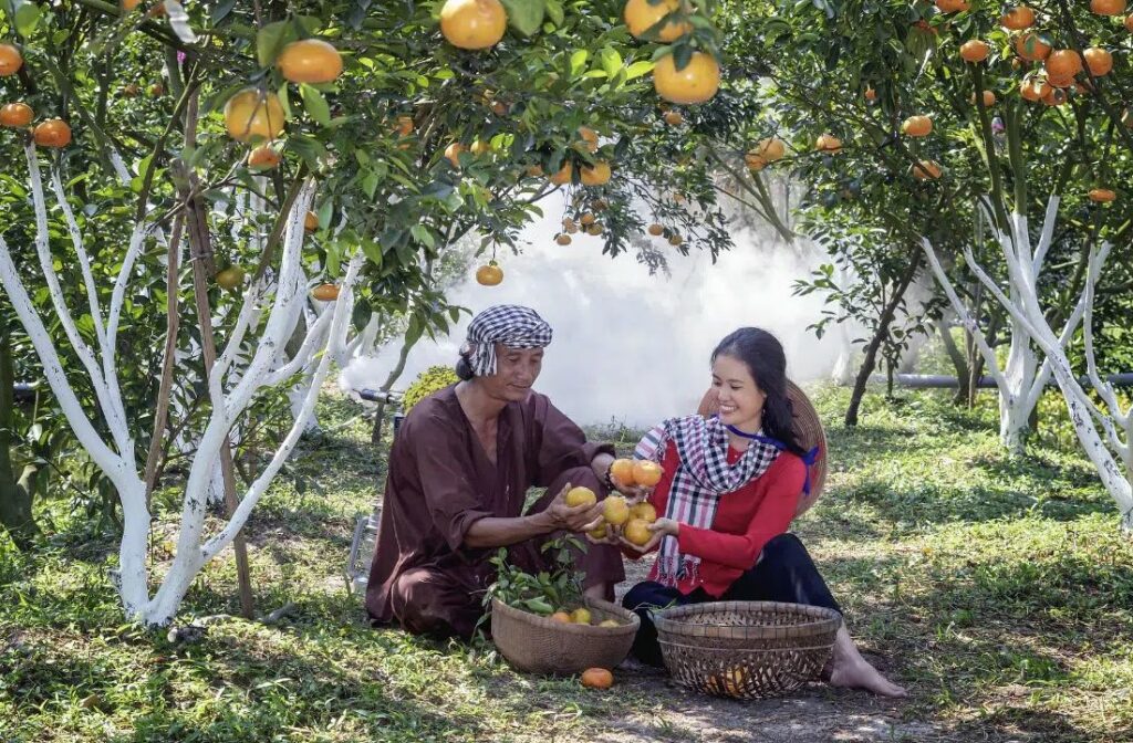 Мужчина и женщина с корзинами сидят под мандариновыми деревьями