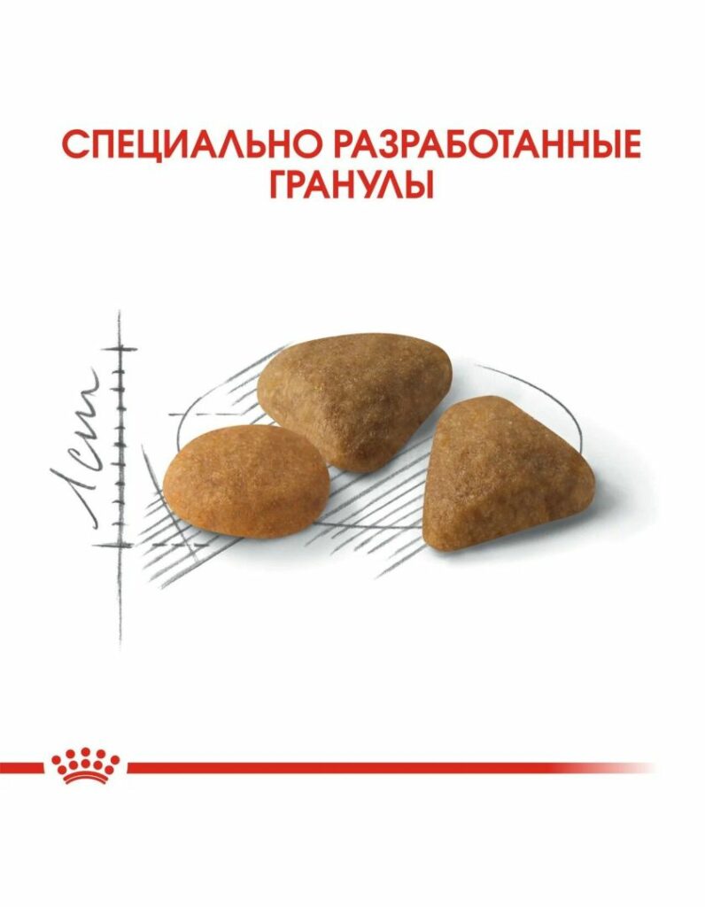 Bigpicture ru специальные гранулы