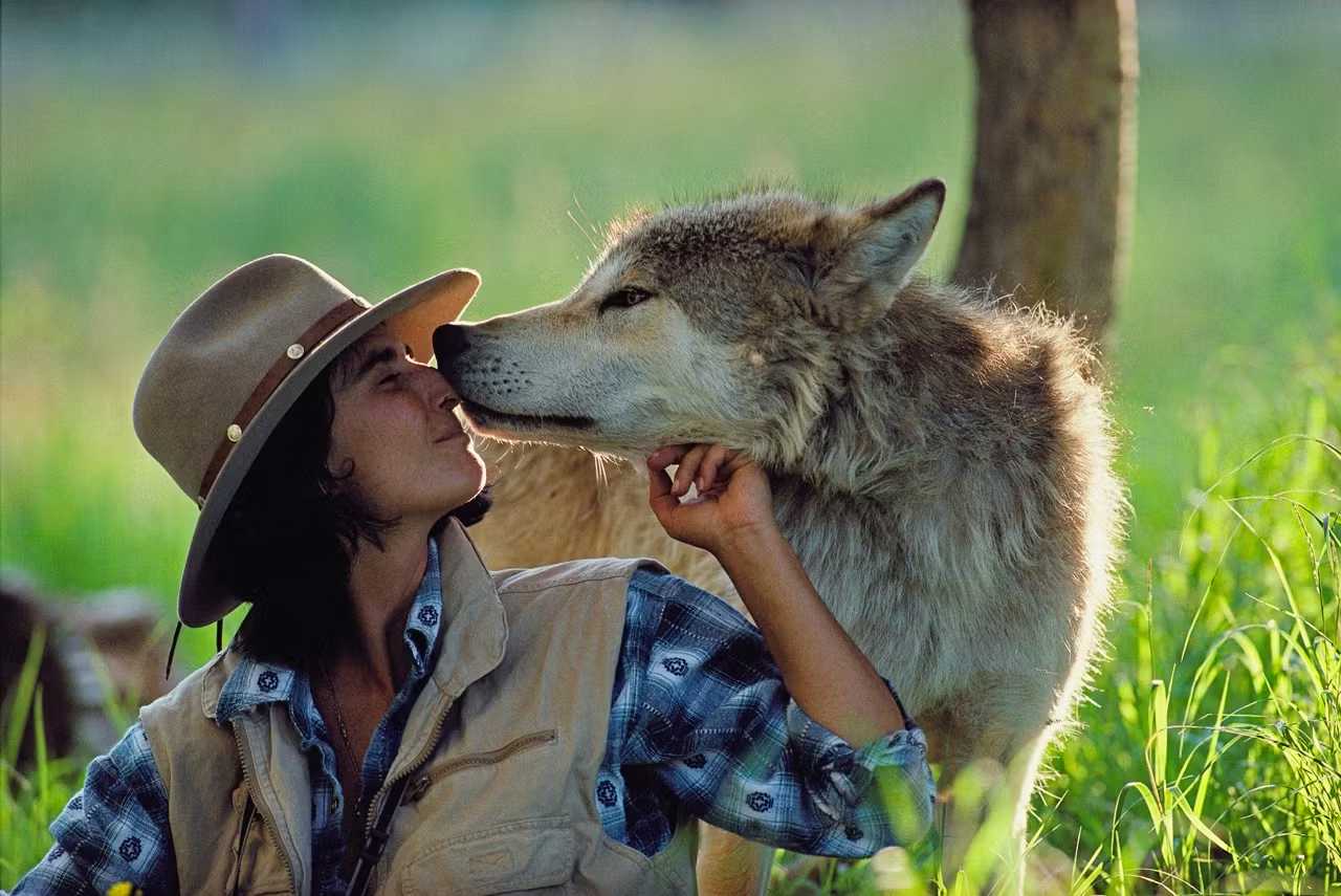 Фразеологизм Тамбовский волк тебе товарищ как символ чужака