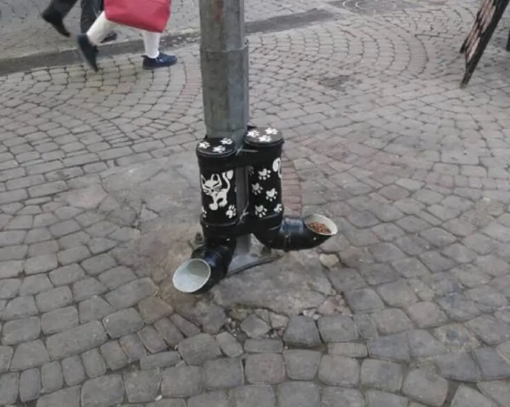 Уличные кормушки для бездомных кошек в Турции (Turkey)