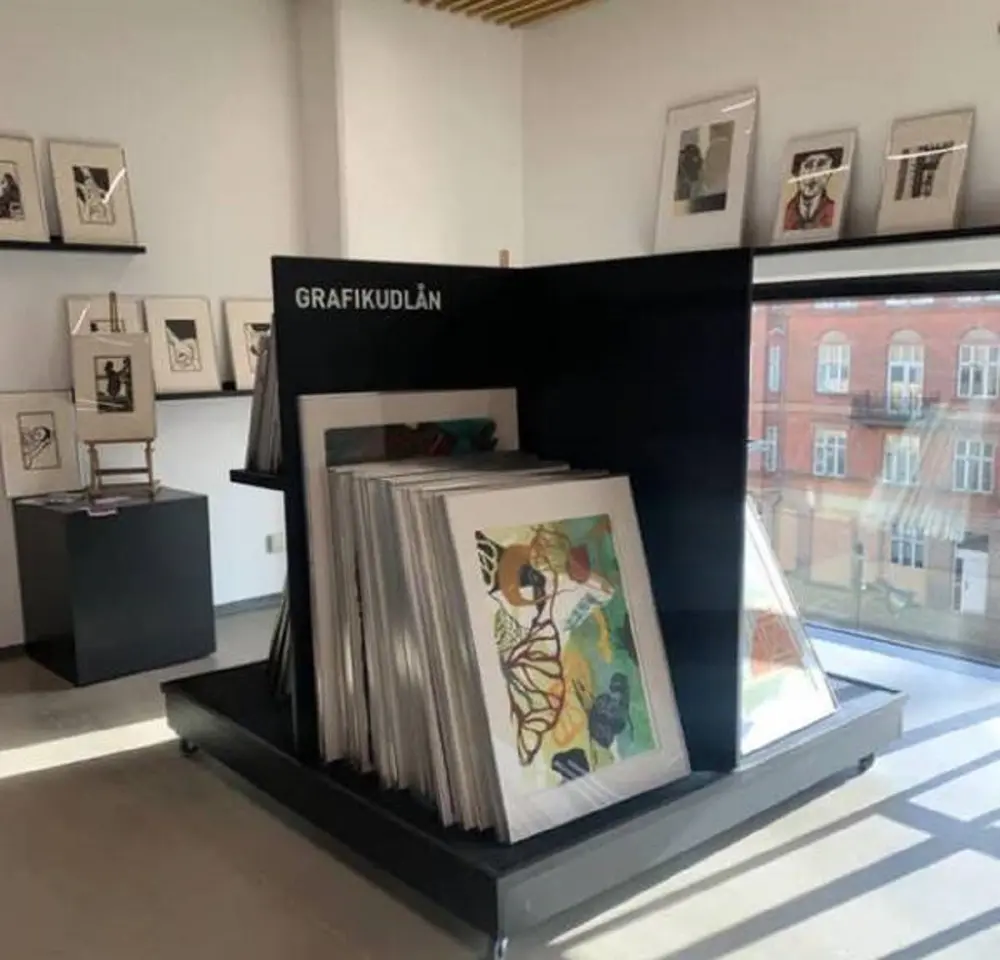 Библиотека с картинами для выдачи в Дании (Denmark)