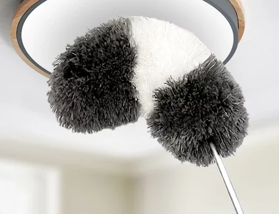 Что такое пипидастр на самом деле: происхождение, применение и выбор