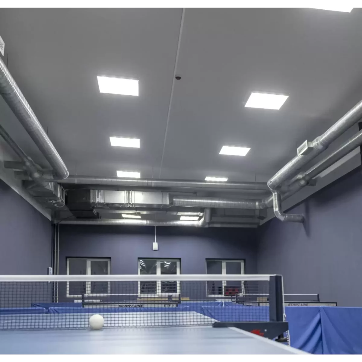 1291.9fe3f36c9c6f9d58abf11f9569ef9134