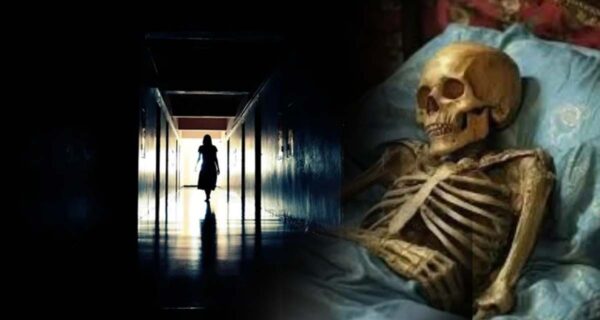 Покойник за стеной: жуткая история Хедвиги Голик, смерть которой не замечали 42 года