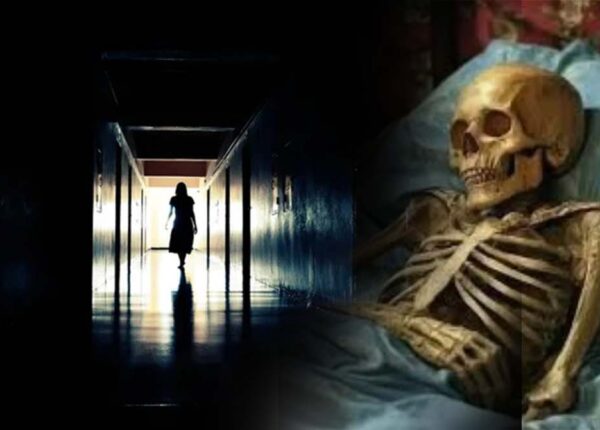 Покойник за стеной: жуткая история Хедвиги Голик, смерть которой не замечали 42 года