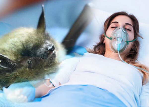 История Джины Гис, которой удалось выжить после заражения бешенством