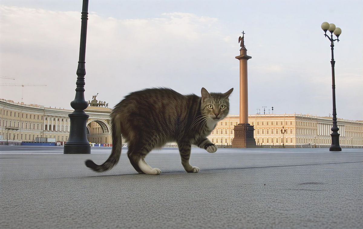 Полосатый серый кот гуляет по Дворцовой площади на фоне Александровской колонны в Санкт-Петербурге