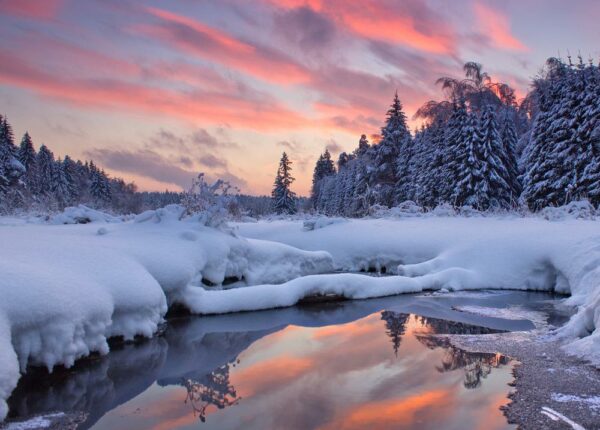 Зимние национальные парки России: где снег лежит нетронутым, а лоси выходят к дорогам