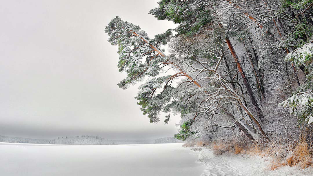 Заснеженные озера и леса в национальном парке Смоленское Поозерье