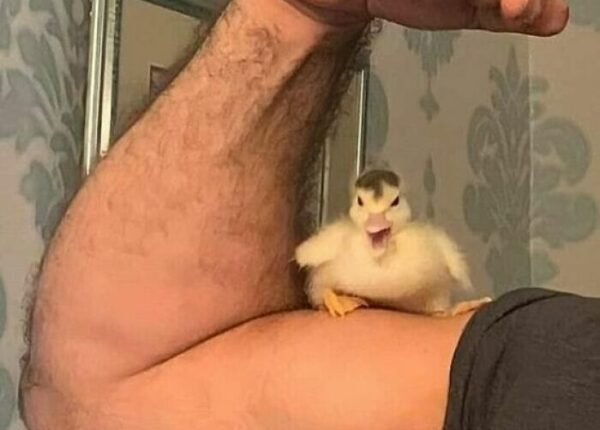 22 забавных фото, призванных поднять вам настроение