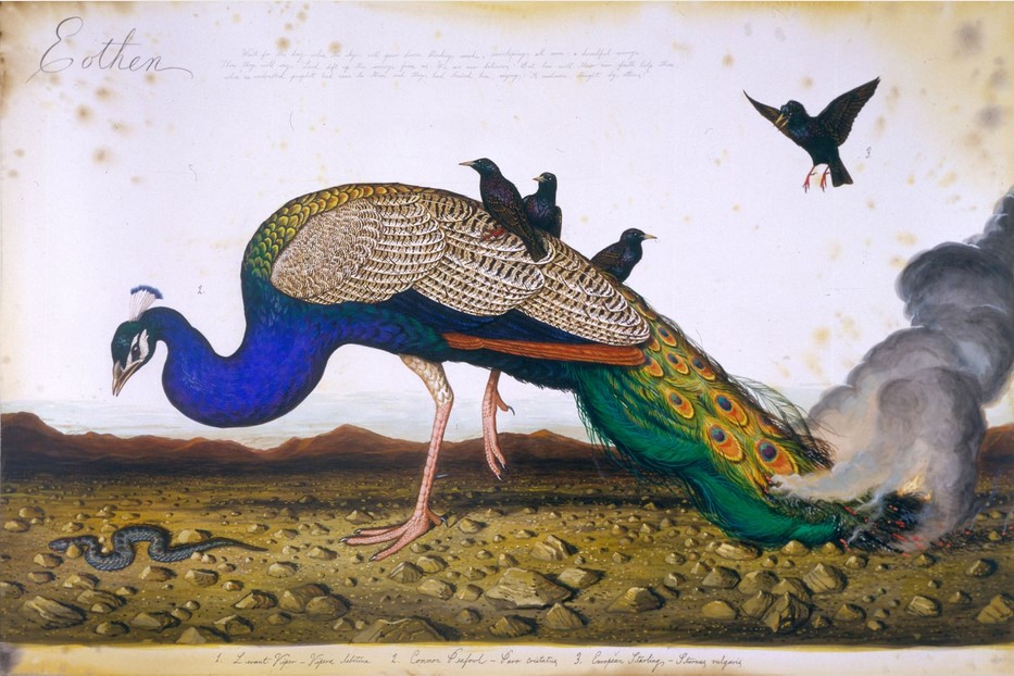 Эотен мифологические животные в живописи Уолтона Форда