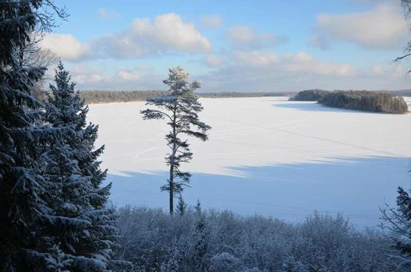 Зимний пейзаж Смоленского Поозерья с замерзшими озерами и снежным лесом