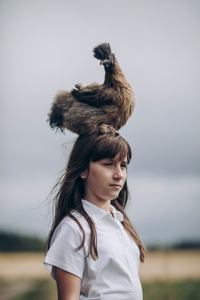 Финская девочка держит курицу на голове домашние птицы