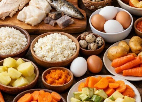 Принципы здорового питания — руководство по созданию персонального меню