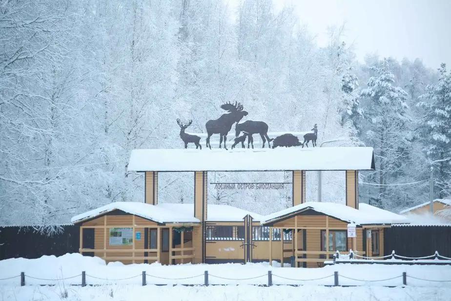 Ворота на въезде на биостанцию Лосиного острова зимой