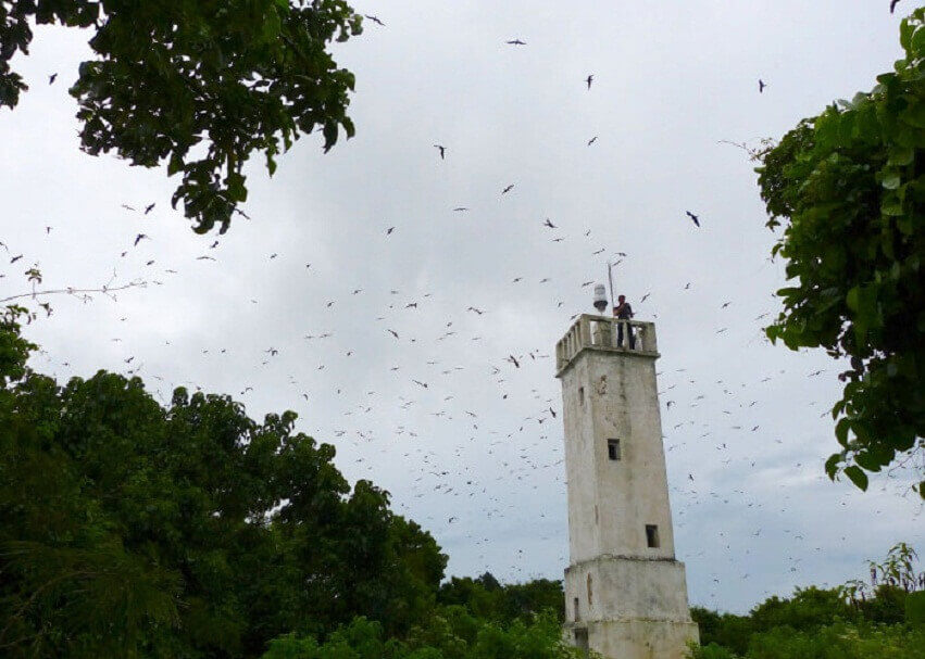 Маяк на острове Кеймада Гранди среди зелени с летающими птицами