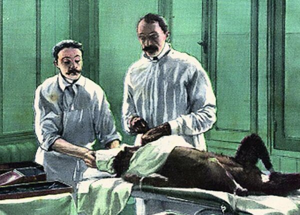 Сергей Воронов: хирург, который пересаживал людям яички обезьян ради бессмертия