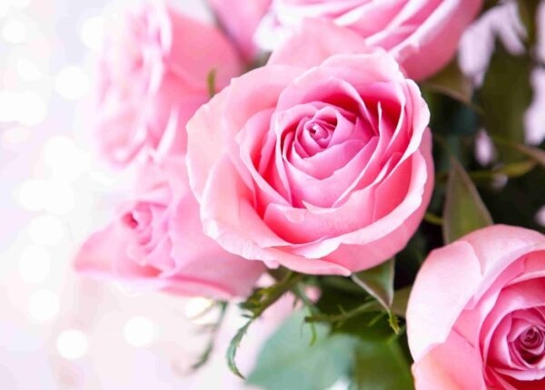 Короткие тёплые пожелания на день рождения: идеи и примеры