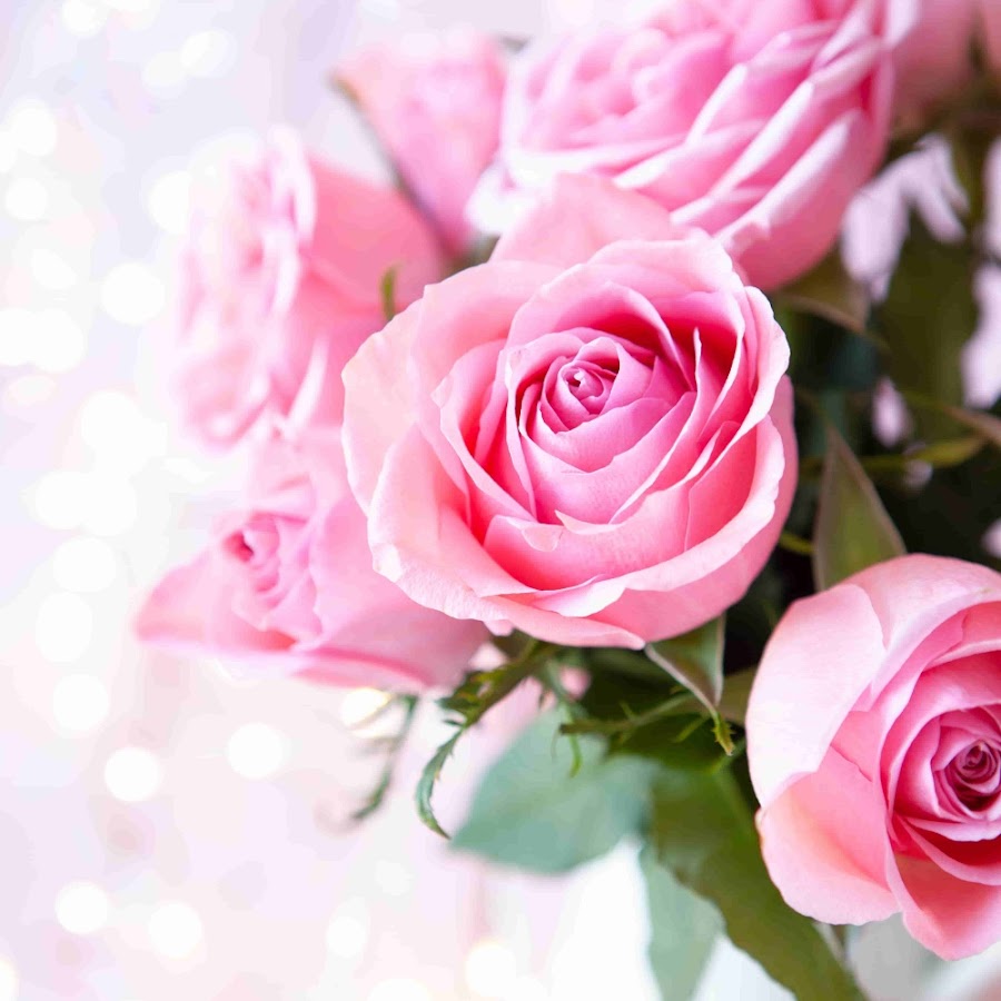 Bigpicture ru короткие поздравления с днем рождения своими словами