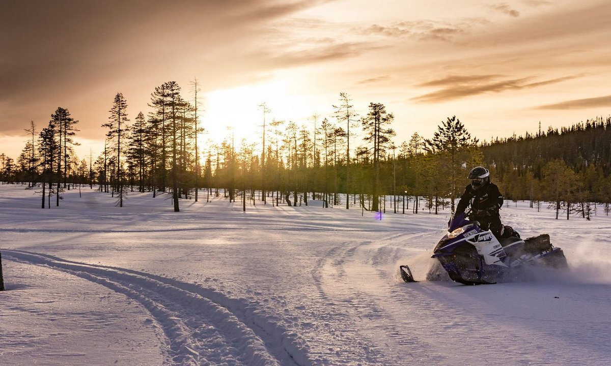 Заснеженный зимний лес в национальном парке с деревьями в инее