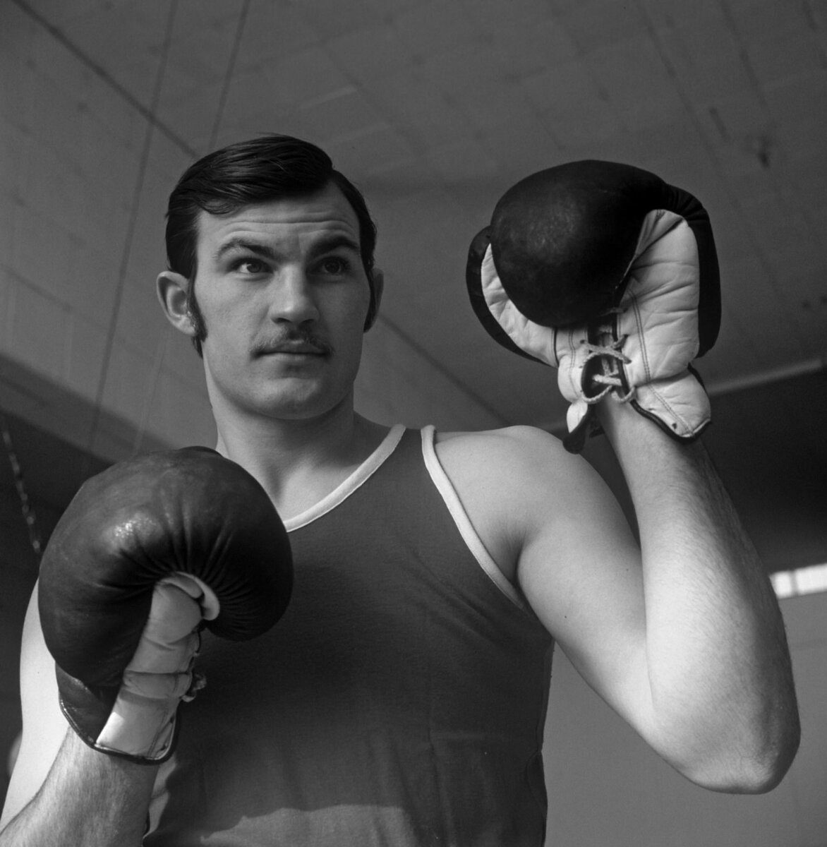 Bigpicture ru scale 1200