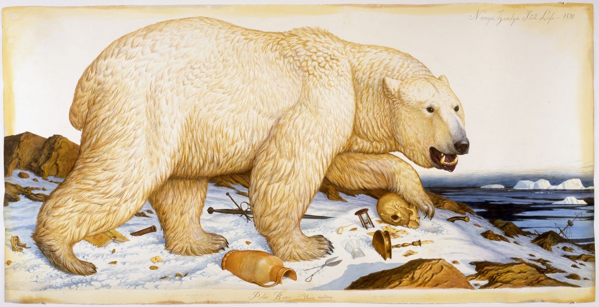 Жизнь в стиле Новой Земли колониализм и дикая природа Уолтон Форд