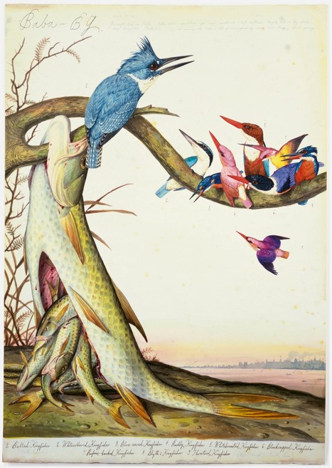 Отец горилла в живописи символизм отцовства животный мир