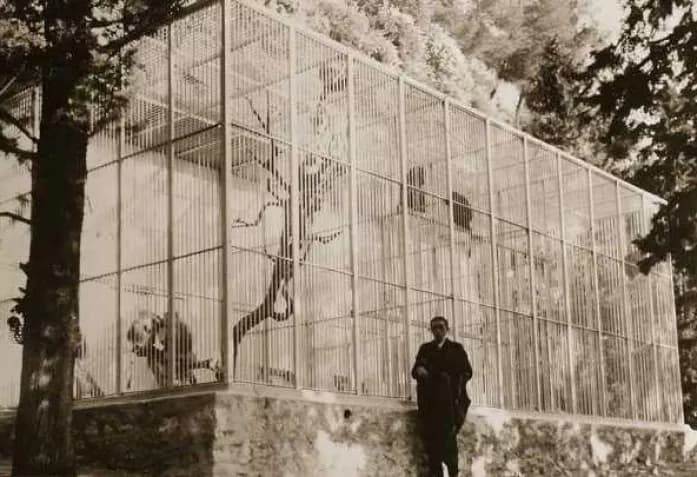 Сергей Воронов возле вольера с обезьянами на территории замка в Италии