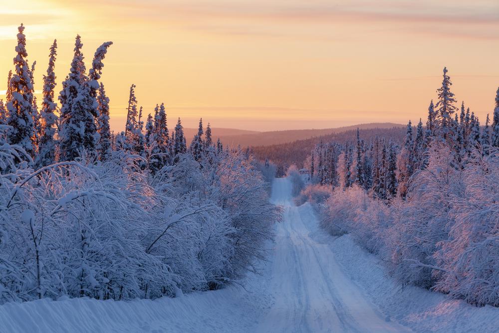 Заснеженный лес и дорога в национальном парке Паанаярви зимой в сумерках