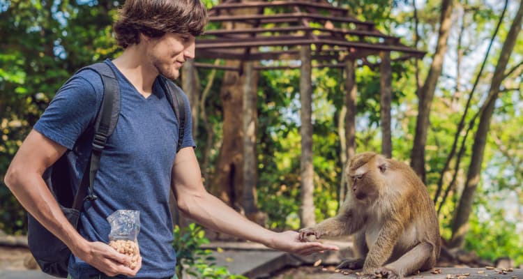 Bigpicture ru zoo outfit guide 2 1