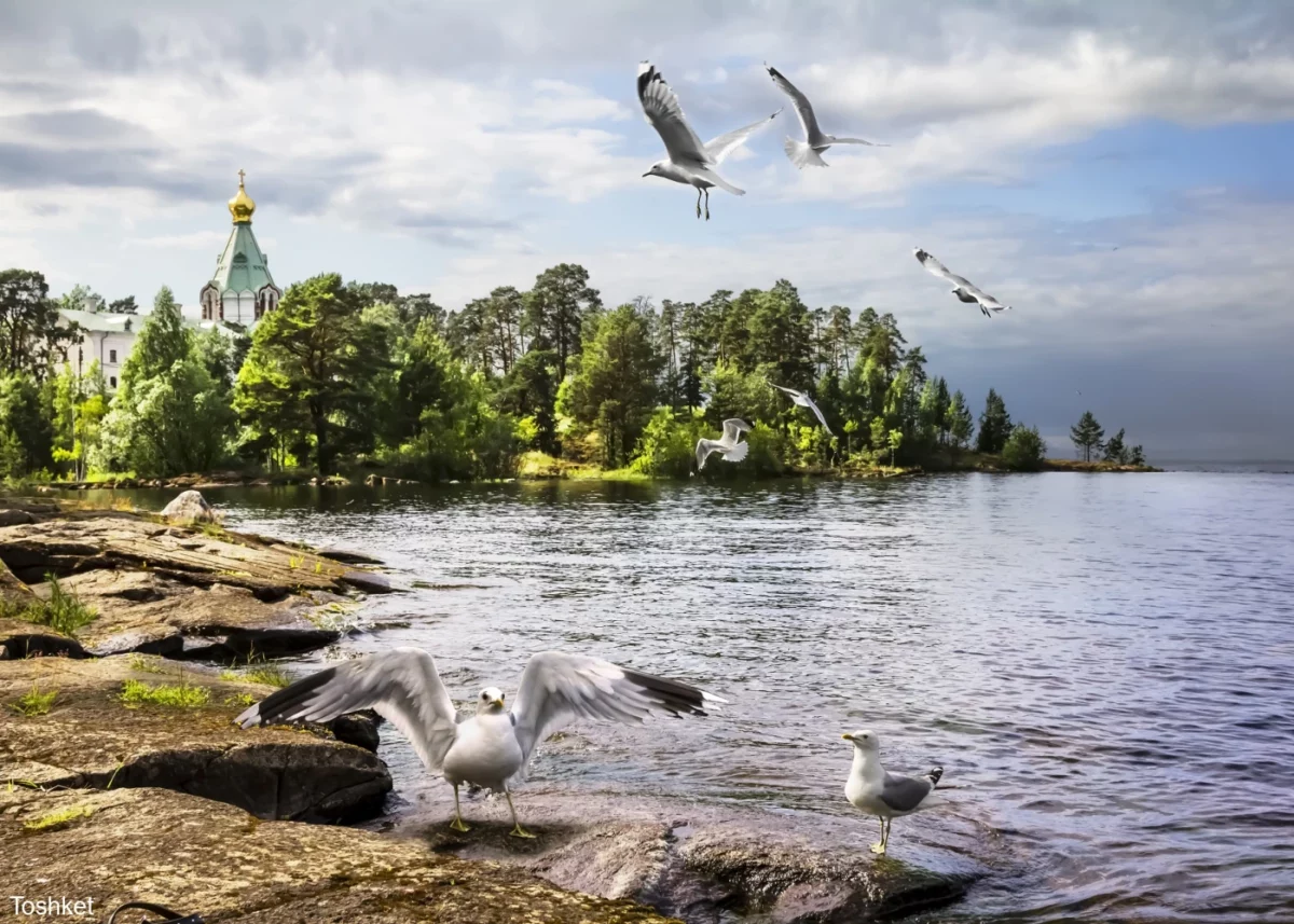 Сила природы карелии