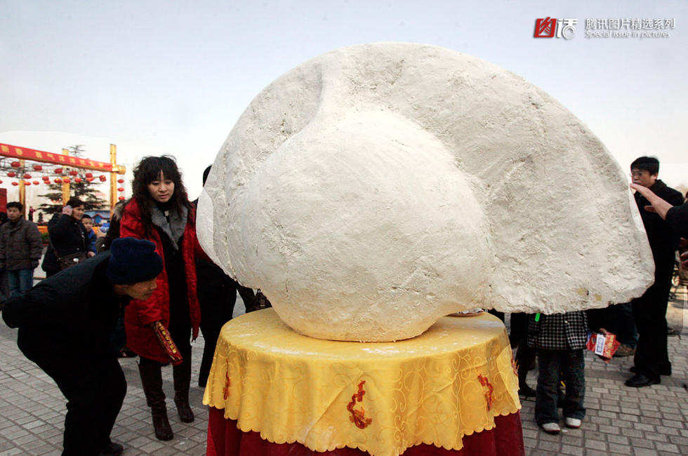 Китайский пельмень-рекордсмен цзяоцзы весом 79 кг попал в Книгу рекордов Гиннесса в 2010 году