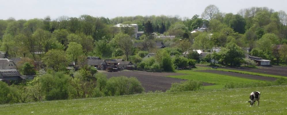 Село в хмельницкой области