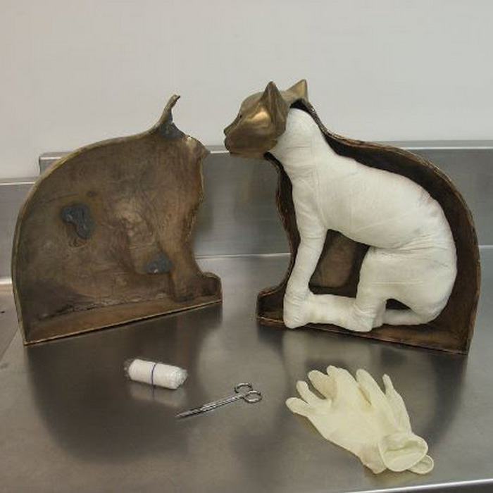 Мумификация кошки питомца культ SUMMUM процесс