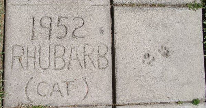 Аллея звёзд для животных-лауреатов премии «Пэтси» в Голливуде