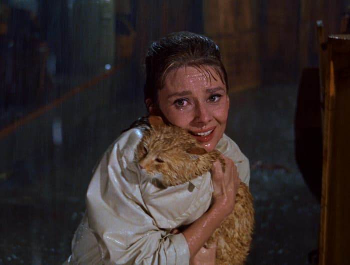 Сцена под дождём из «Завтрака у Тиффани»: Холли Голайтли с безымянным котом