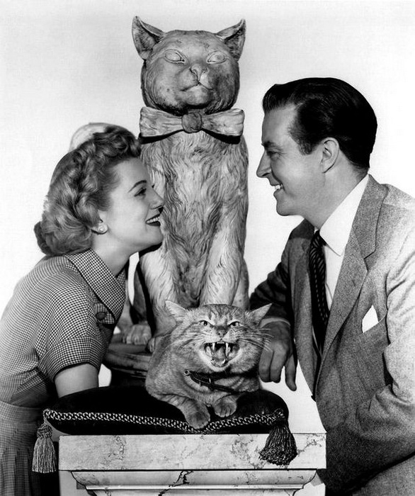 Актёры улыбаются друг другу, а Оранджи шипит в объектив