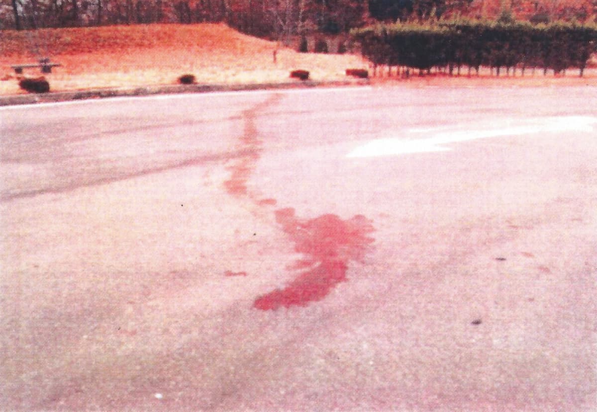 Bigpicture ru 4 pt 1