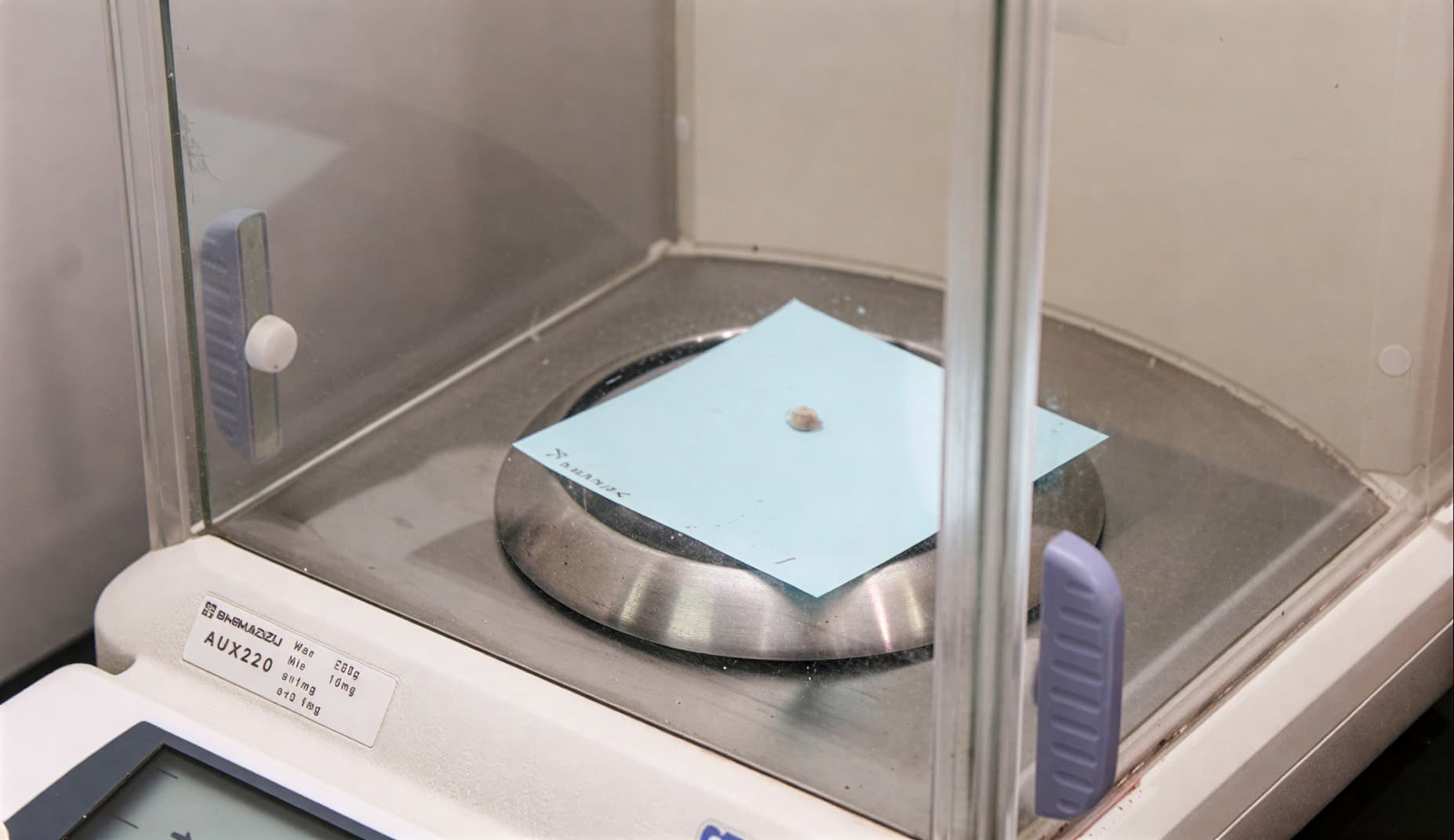 Самый маленький пельмень в мире под микроскопом &mdash; Бийск, Алтай, вес 0,0016 грамма, рекорд 2015 года