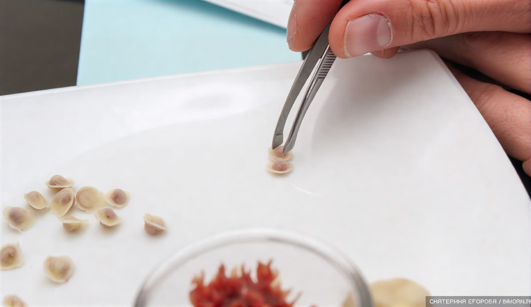 Лепка самого маленького пельменя в мире в Бийске &mdash; работа пинцетом и зубочисткой, команда Меленка-ОСТ 2015