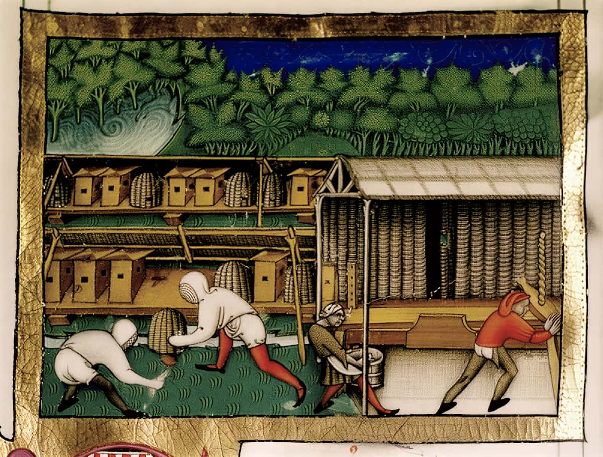 Средневековые ульи &mdash; миниатюра из рукописи