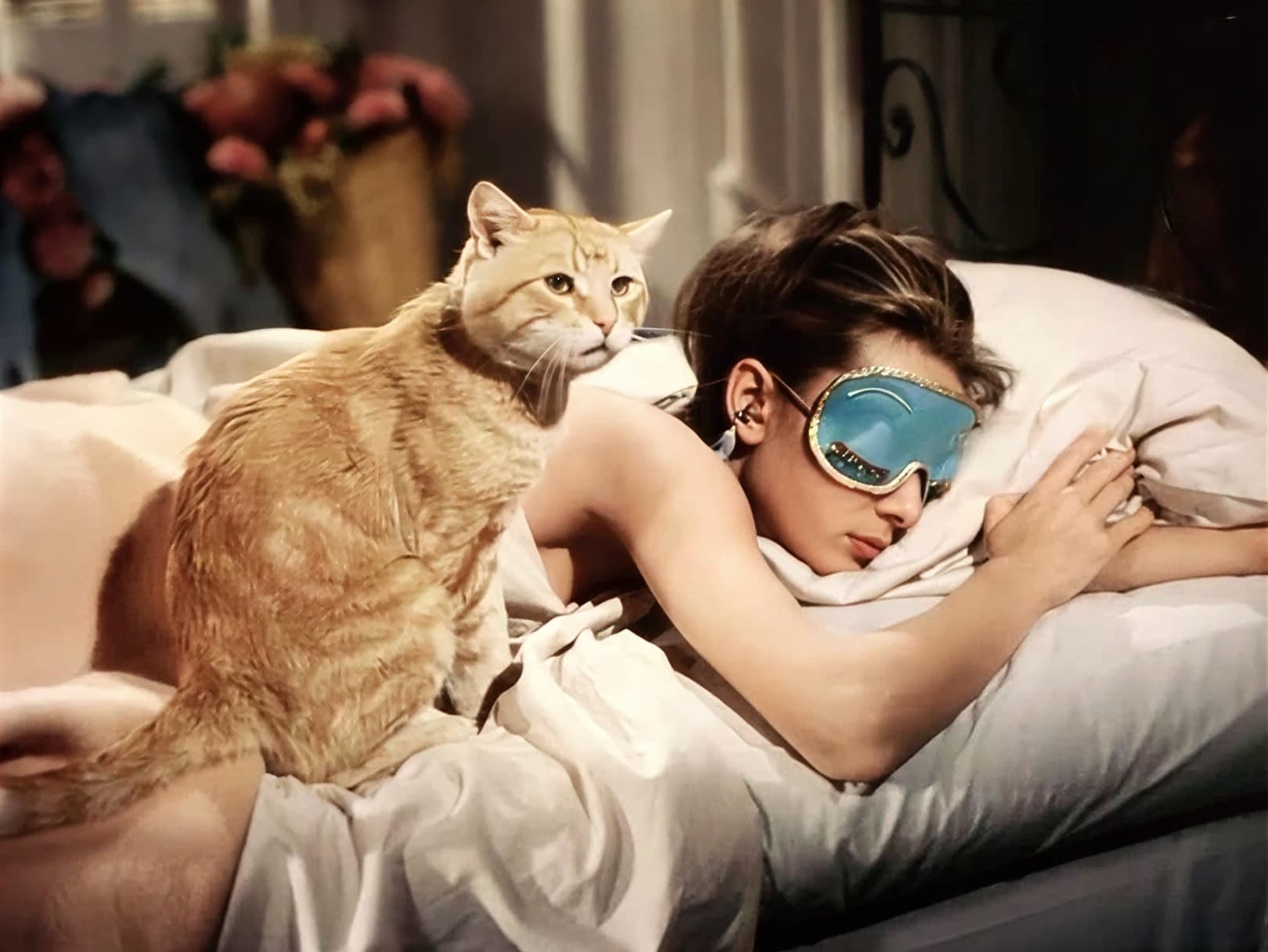 Кот Оранджи — самый знаменитый кот-актёр Голливуда, партнёр Одри Хепбёрн